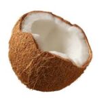 cocco
