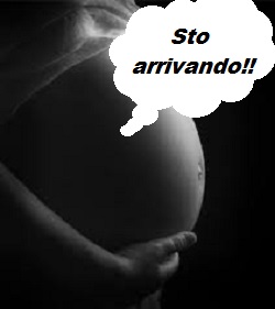 gravidanza