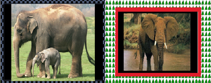 elefante 1