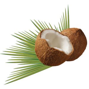 coconut-979858_640