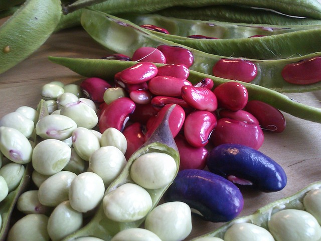 beans-338288_640