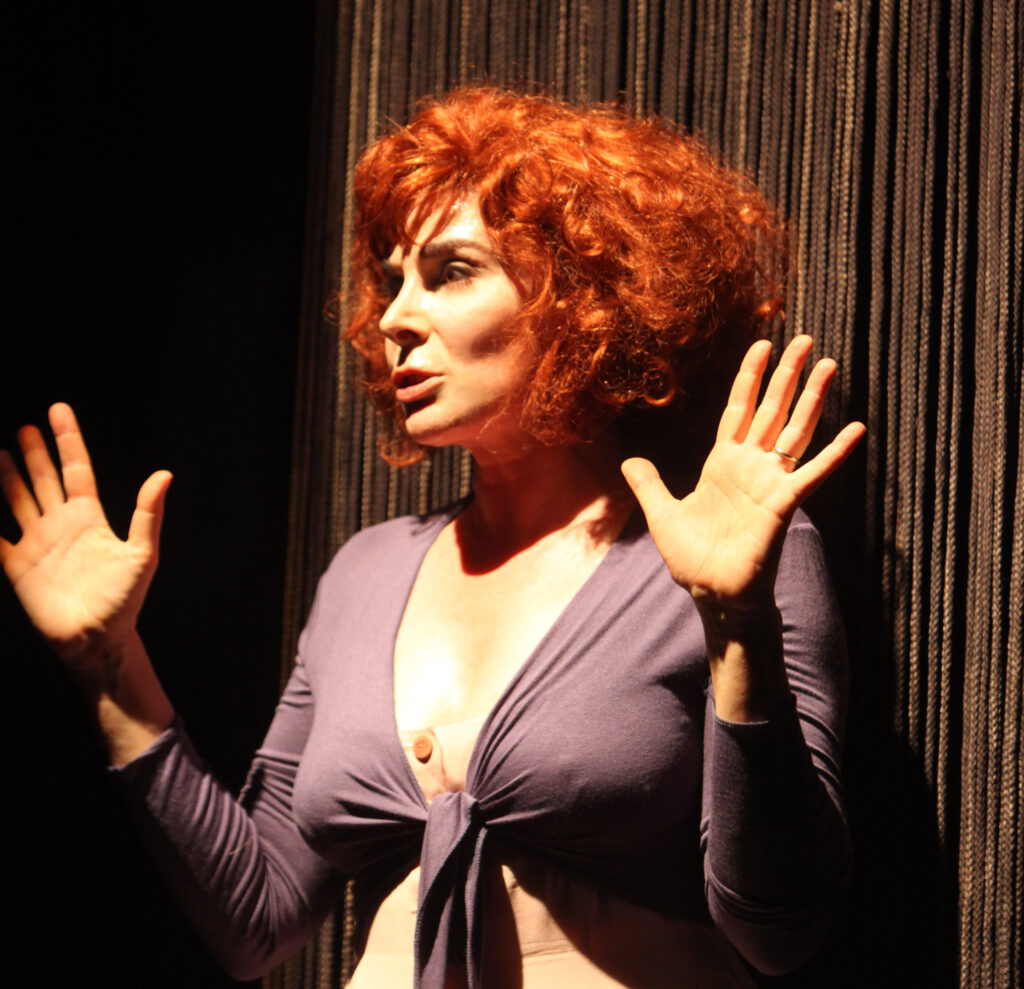 teresa la ladra