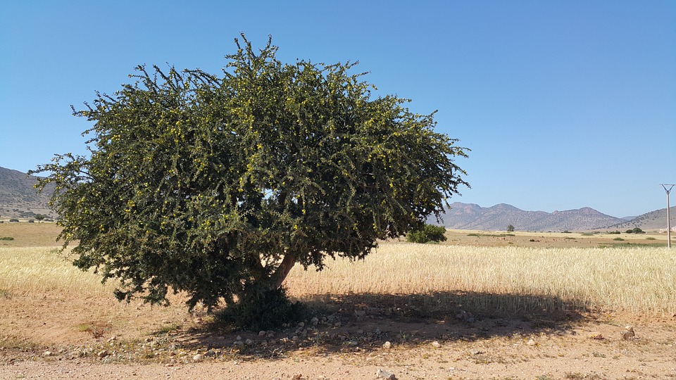 morocco-827830_960_720