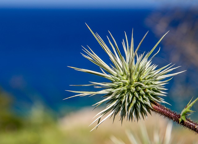 rimedi naturali per drenare i liquidi in eccesso