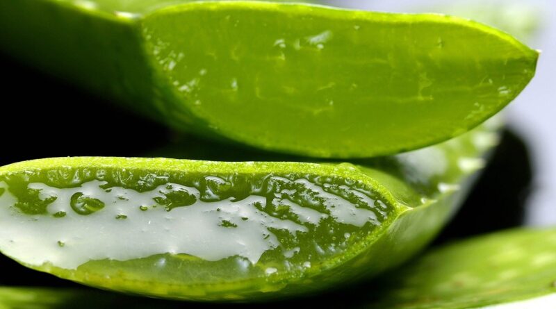 gel-aloe
