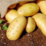 Smettere di bere e fumare in un giorno