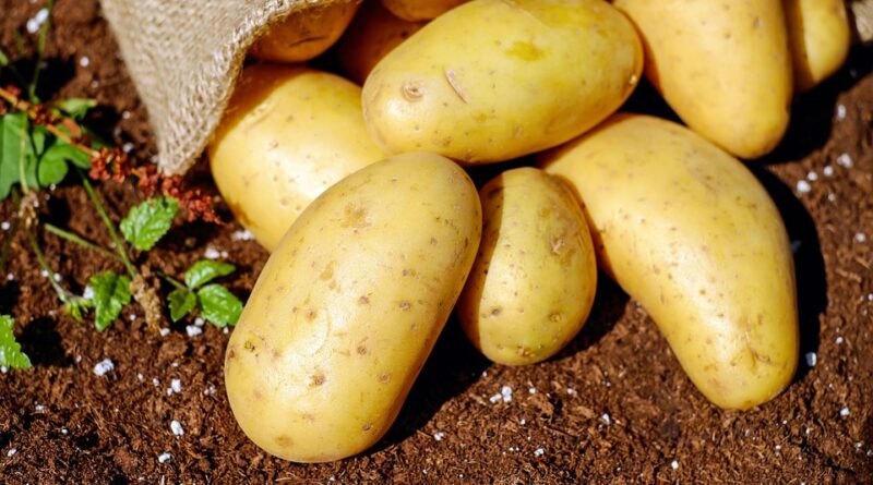 patate proprietà e benefici