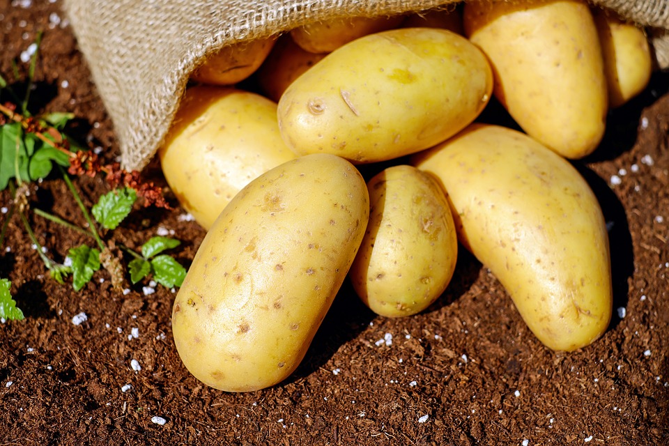 patate proprietà e benefici