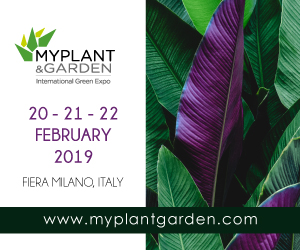 Myplant & Garden