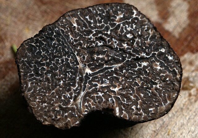 tartufo nero