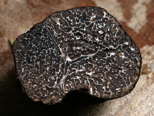 tartufo nero